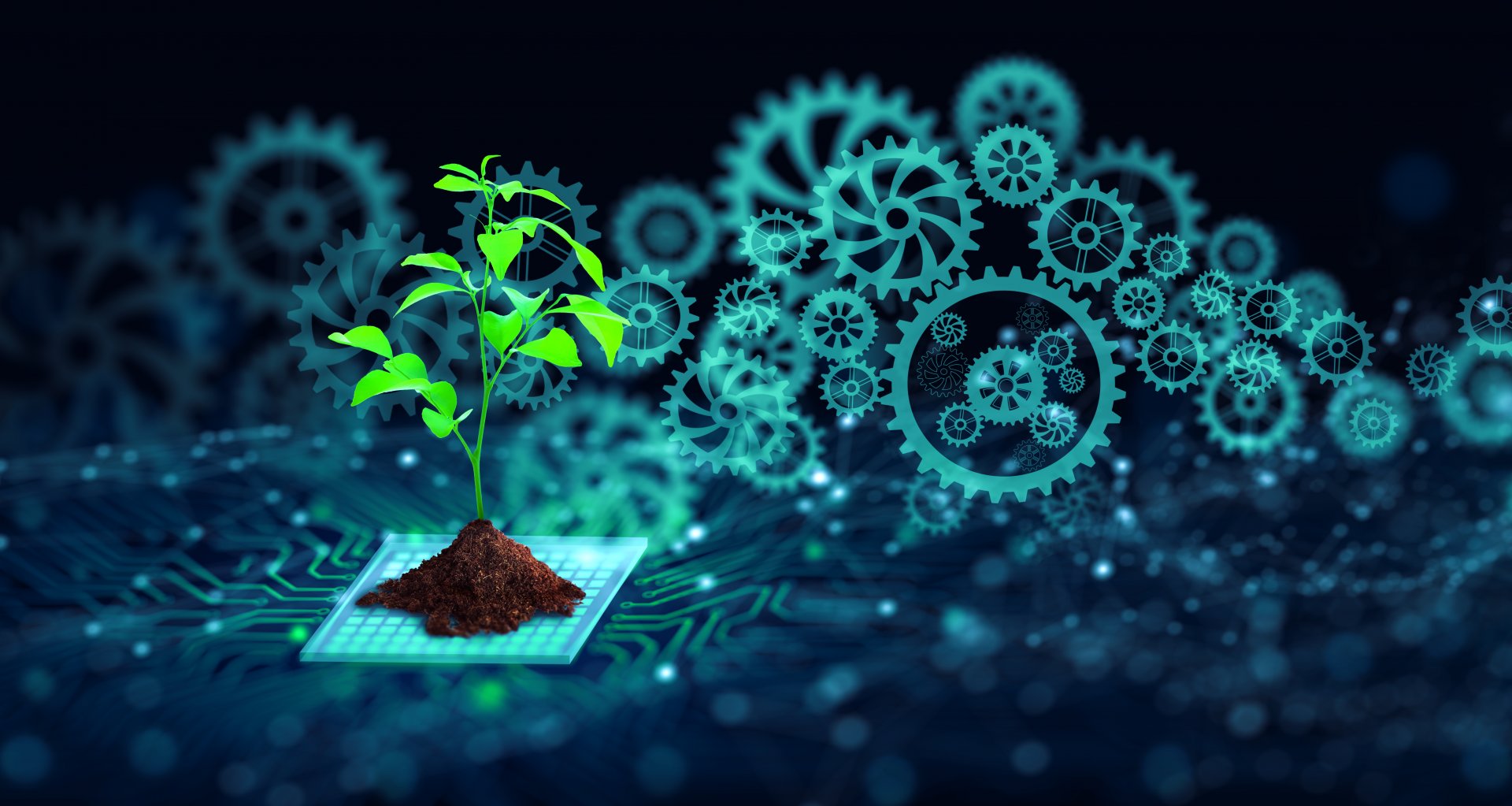 Biotecnología: Avanzando en medicina, agricultura y otros campos