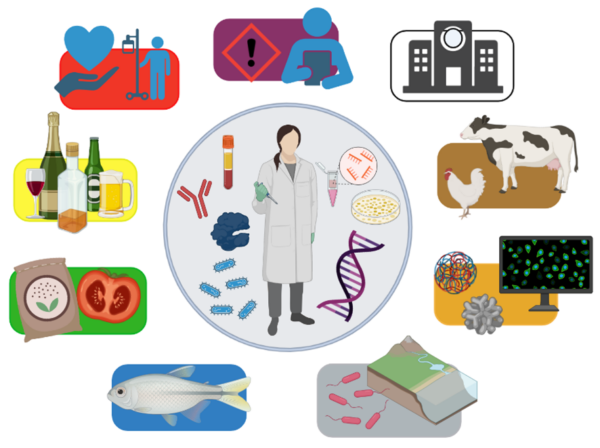 Tipos de biotecnología
